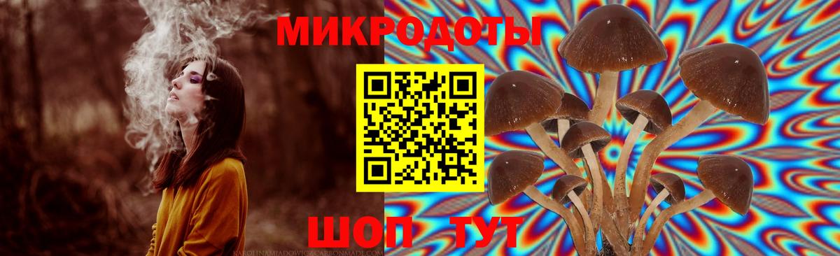 Чапаевск  Галлюциногенные грибы ЛСД  Вход с VPN 